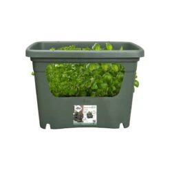 Elho Plantenbak Green Basics Stack & Grow Large Groen -Pokon Verkoop elho plantenbak green basics stack grow large groen 800x800 620e3d4daa1b4 l
