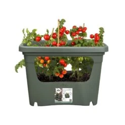 Elho Plantenbak Green Basics Stack & Grow Large Groen -Pokon Verkoop elho plantenbak green basics stack grow large groen 800x800 620e3d4de4622 l