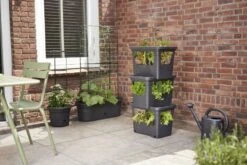Elho Plantenbak Green Basics Stack & Grow Large Zwart -Pokon Verkoop elho plantenbak green basics stack grow large zwart 800x534 620e3d4f78fb3 l