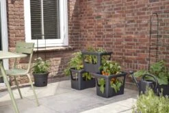 Elho Plantenbak Green Basics Stack & Grow Large Zwart -Pokon Verkoop elho plantenbak green basics stack grow large zwart 800x534 620e3d4fc59c1 l