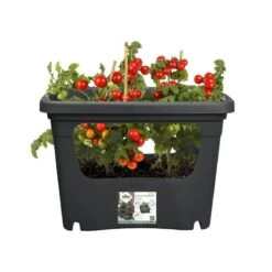 Elho Plantenbak Green Basics Stack & Grow Large Zwart -Pokon Verkoop elho plantenbak green basics stack grow large zwart 800x800 620e3d4eed857 l