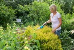 GARDENA Accu Gras- En Buxusschaar Set Accucut Li -Pokon Verkoop gardena accu gras en buxusschaar set accucut li 1619704816 l