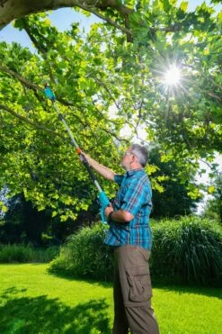 GARDENA Accu Telescopische Snoeizaag TCS 20/18 P4A Solo -Pokon Verkoop gardena accu telescopische snoeizaag tcs 20 18 p4a solo 1000x1500 640af3255d2cf l