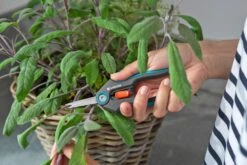 GARDENA FreshCut -Pokon Verkoop gardena freshcut 1500x1000 640af8175f65c l