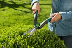 GARDENA PrecisionCut Buxusschaar 5 GARDENA PrecisionCut Buxusschaar -Pokon Verkoop gardena precisioncut buxusschaar 1500x1000 640af7c8df197 l