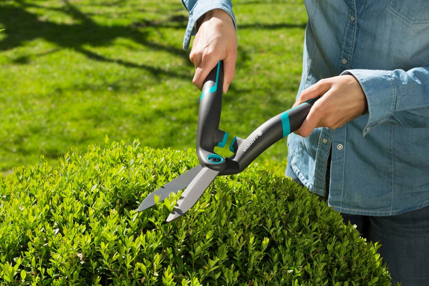 GARDENA PrecisionCut Buxusschaar 3 GARDENA PrecisionCut Buxusschaar - Afbeelding 3