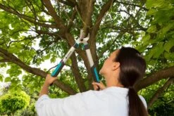 GARDENA Takkenschaar EasyCut 500 B -Pokon Verkoop gardena takkenschaar easycut 500 b 1500x1000 640af7e5d4f80 l