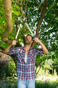 GARDENA Takkenschaar EasyCut 680 B -Pokon Verkoop gardena takkenschaar easycut 680 b 1000x1500 640af7e944a14 l