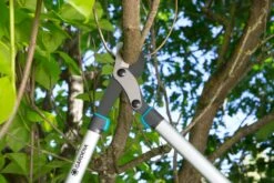 GARDENA Takkenschaar EnergyCut 750 B -Pokon Verkoop gardena takkenschaar energycut 750 b 1500x1000 640af848a316f l