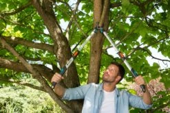 GARDENA Takkenschaar TeleCut 650-900B -Pokon Verkoop gardena takkenschaar telecut 650 900b 1500x1000 640af7ee503de l