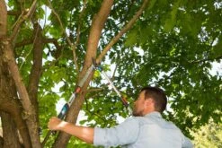 GARDENA Takkenschaar TeleCut Long 650-900 B -Pokon Verkoop gardena telecut long 650 900b 1500x1001 640af7f15744f l