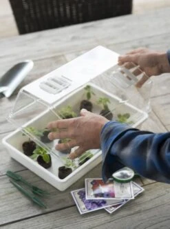 Nature Deksel Voor Kweekbak 55x31cm -Pokon Verkoop nature deksel voor kweekbak 55x31cm 595x800 6214a0230c942 l