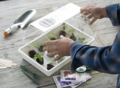 Nature Deksel Voor Kweekbak 55x31cm -Pokon Verkoop nature deksel voor kweekbak 55x31cm 800x587 6214a0233f631 l