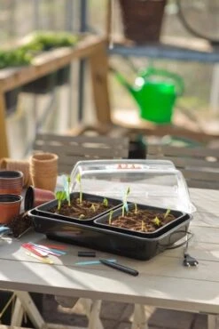 Nature Kweekkas Verwarmd 38x24cm -Pokon Verkoop nature kweekkas verwarmd 38x24cm 534x800 6214a026e40ab l