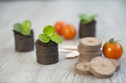 Nature Turftabletten 48st -Pokon Verkoop nature turftabletten 48st 800x532 6214a01453d91 l